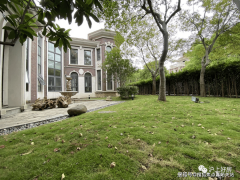 <b>至今也没有找到合适象</b>